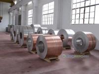 銅鋁復合板在銅門行業的應用及推薦