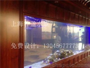 水族箱產業供應鏈解析 從供應商、價格到批發市場