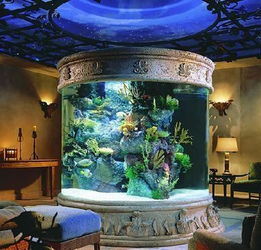 亞克力水族箱 靈動水景的現代之選