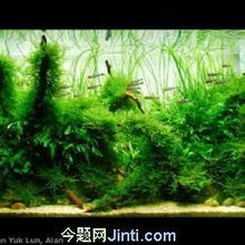 北京寵物天地 水族箱清洗與維護全攻略