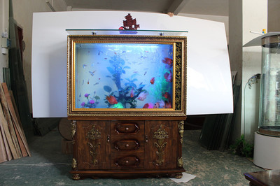 生態魚缸 方寸之間，構筑流動的生命藝術