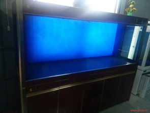 玻璃水族箱 一方清澈的微型海洋