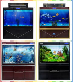 邯鄲水族箱批發市場全攻略 從入門到精通